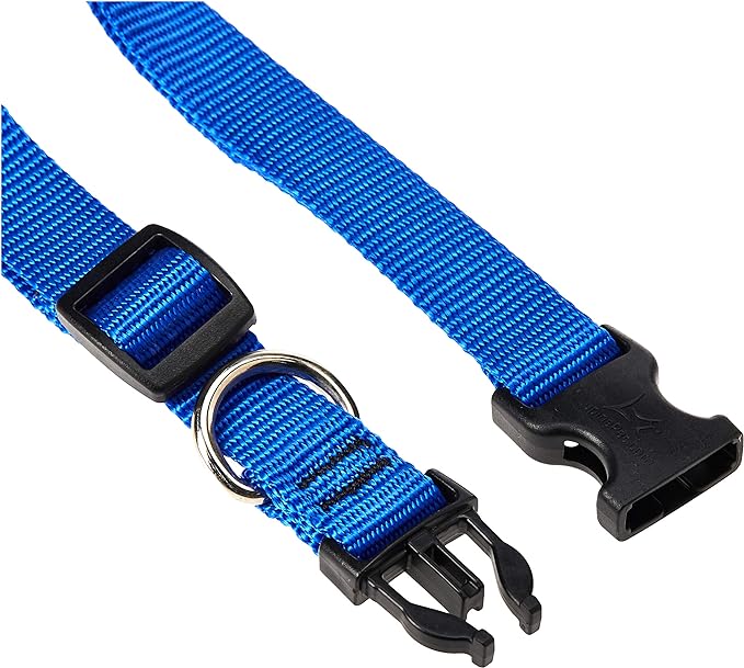 Neck collar plain 3/4"